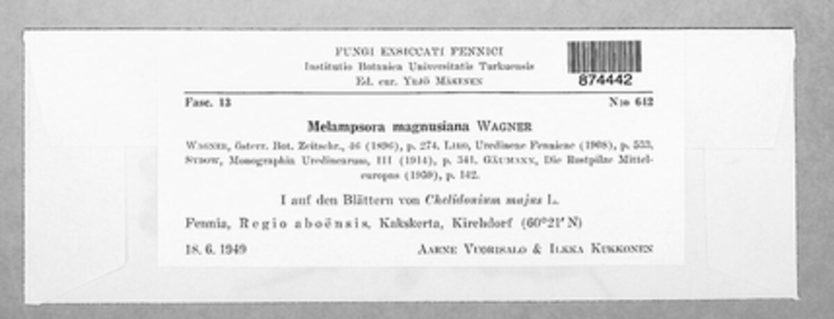 Melampsora magnusiana image